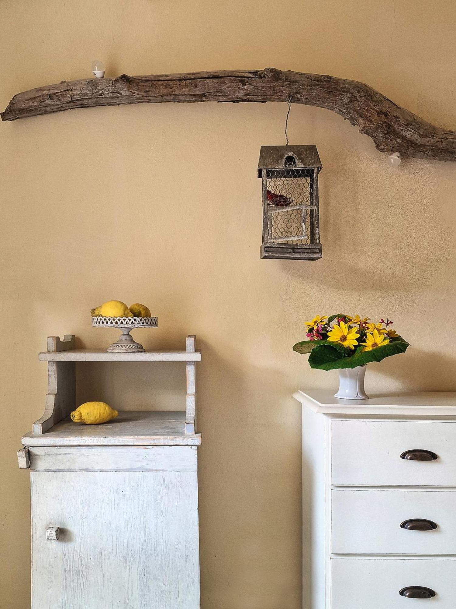 Hotel Cernia Isola Botanica SantʼAndrea Kültér fotó